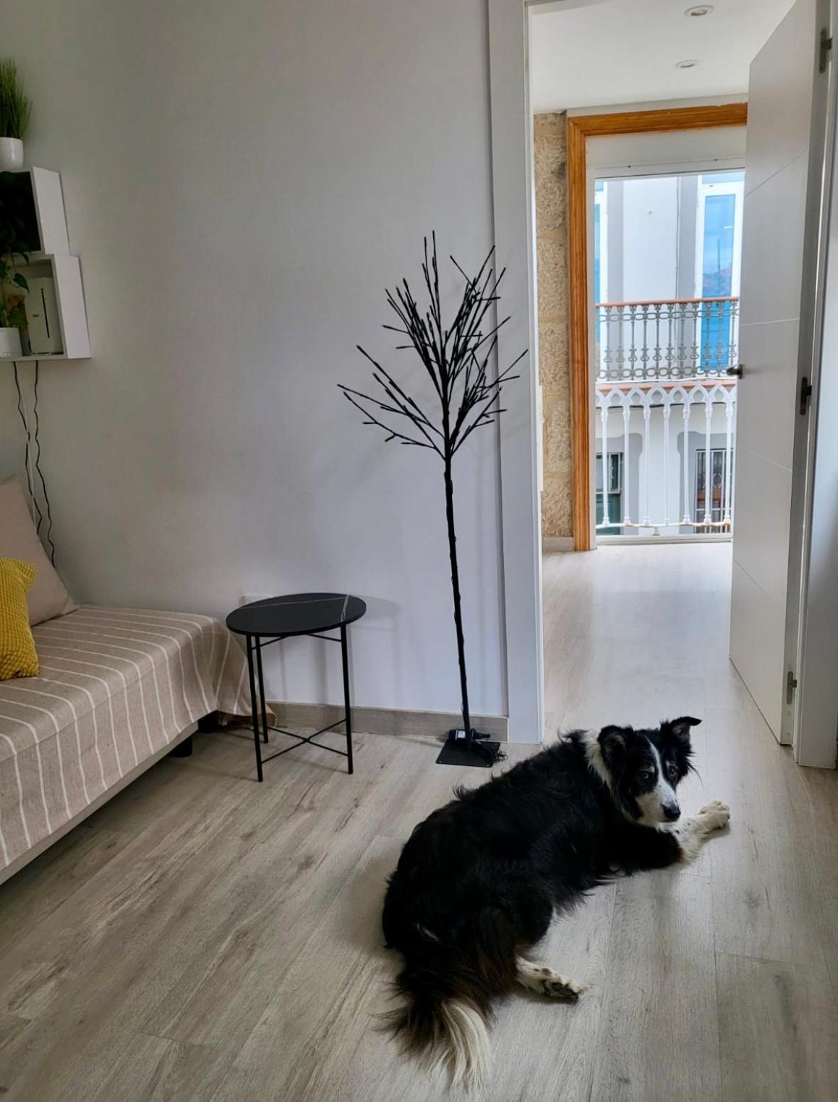 Apartamento Centrico Y Acogedor Vigo Exterior photo
